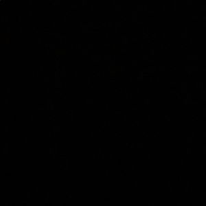 Meet your Posher, Zamzam